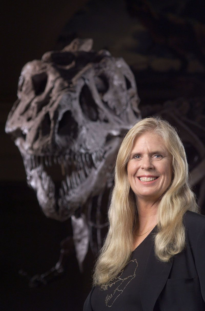 Những chiếc xương này hóa ra là một phần bộ xương của loài khủng long Tyrannosaurus rex - kẻ săn mồi nổi tiếng nhất thế giới khủng long. Mẫu vật 65 triệu năm tuổi này được đặt tên là Sue, theo tên của người phát hiện ra nó.