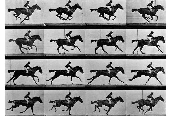 Năm 1877, nhà phát minh Eadweard Muybridge đã phát triển hình thức sơ khai của ảnh động sau khi Leland Stanford, thống đốc bang California, đề nghị ông phát triển các nghiên cứu bằng hình ảnh về động vật đang chuyển động.