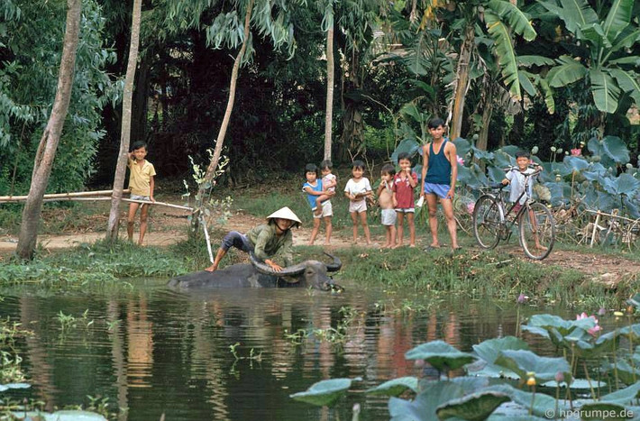 Trẻ em bên một bờ ao.