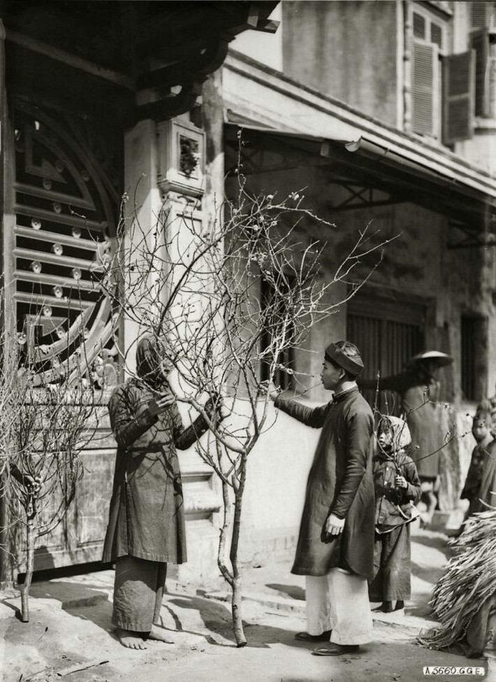 Bán cành đào ngày 30 Tết ở khu vực chợ Đồng Xuân, thập niên 1920.