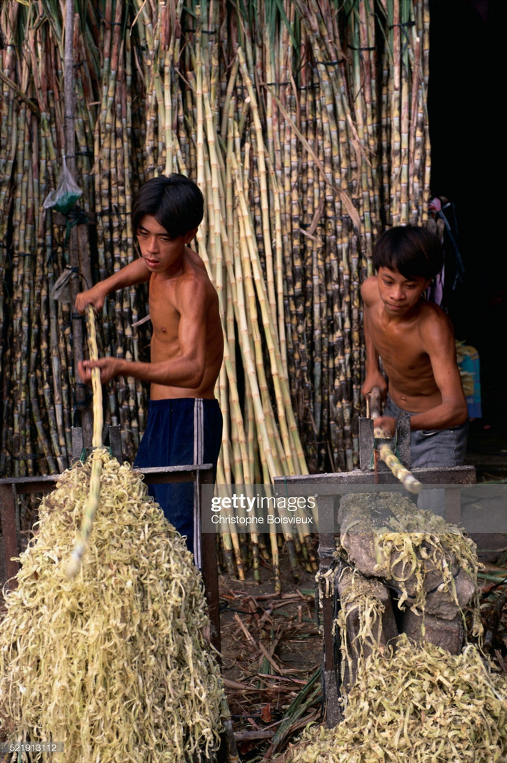 Hai thiếu niên cạo vỏ mía tại một khu chợ.
