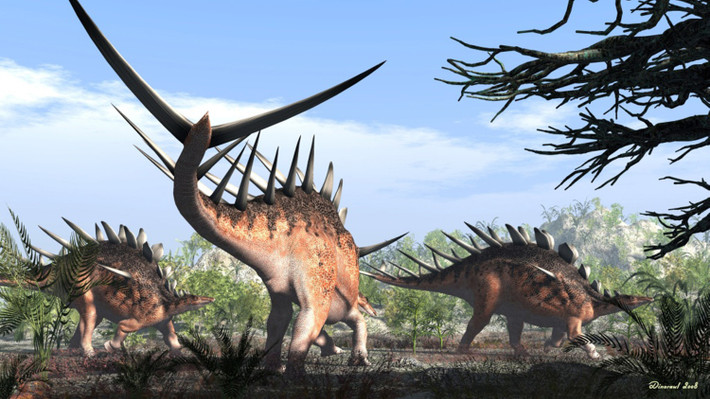 Kentrosaurus là chi khủng long sống vào kỷ Jura Muộn, khoảng 155-150 triệu năm trước, được phát hiện ở châu Phi. Chúng dài 4 mét, nặng từ 0,6-0,8 tấn. Không chỉ có hai hàng gai nhọn kéo dài từ lưng đến đuôi, Kentrosaurus còn có cặp "sừng" kỳ lạ chĩa ra từ hai bên vai.