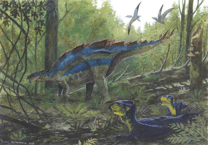 Wuerhosaurus là chi khủng long sống vào kỷ Phấn Trắng sớm, khoảng 132-113 triệu năm trước, được tìm thấy tại Trung Quốc. Chúng có kích cỡ như Stegosaurus cùng bốn chiếc gai ở cuối đuôi tương tự người họ hàng Âu - Mỹ. Điểm khác biệt lớn là các tấm sừng trên lưng Wuerhosaurus dày và thấp hơn.