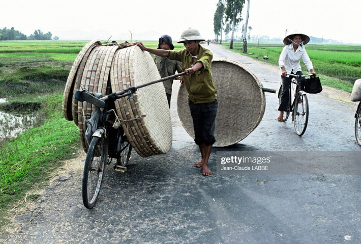 Vận chuyển những cái nong lớn bằng xe đạp.