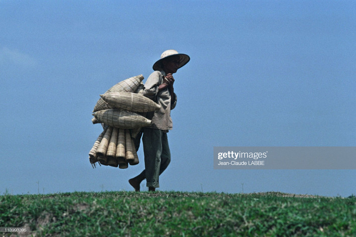 Lão nông cầm những cái đó bắt cá bước đi trên triền đê.