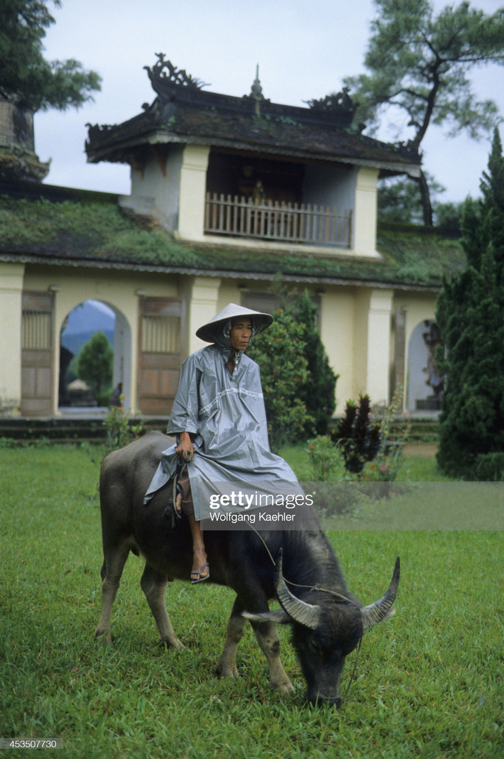 Người đàn ông cưỡi trâu bên cổng tam quan chùa Thiên Mụ.