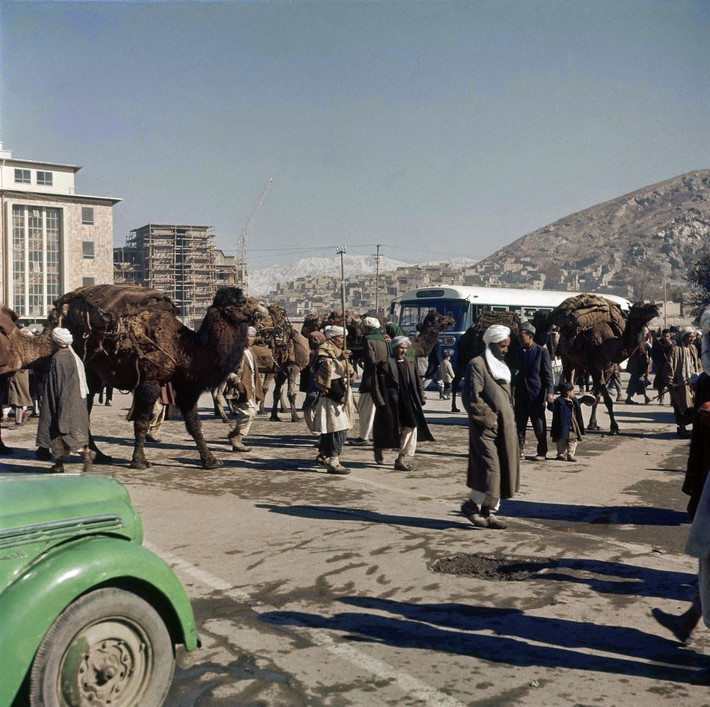 Những con lạc đà - phương tiện vận chuyển đã được sử dụng ở Afghanistan trong hàng thể kỷ - xuất hiện bên những chiếc xe hơi hiện đại ở một quảng trường của Kabul.