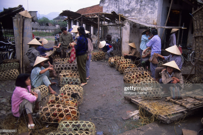 Các quầy bán gà tại một khu chợ ở tỉnh Hòa Bình năm 1992. Ảnh: Wolfgang Kaehler/ Getty Images.