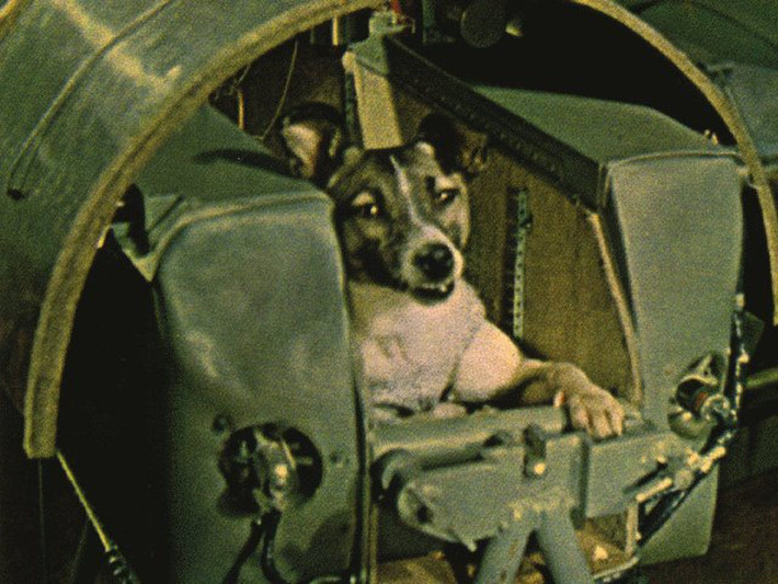 Ngày 3/11/1957, Liên Xô phóng Sputnik II, mang theo một chú chó tên là Laika. Sang tháng 12, Mỹ đã cố gắng phóng một vệ tinh của riêng mình, được gọi là Vanguard, nhưng nó đã phát nổ ngay sau khi cất cánh.