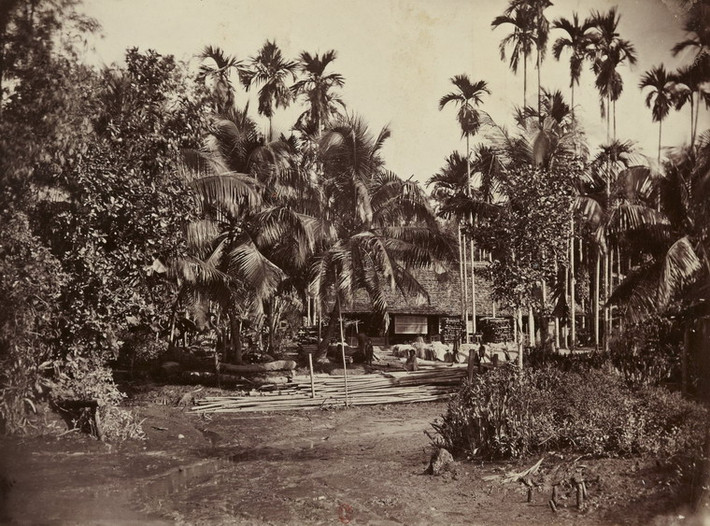 Một ngôi làng ở Nam Kỳ.