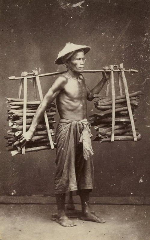 Tiều phu An Nam.