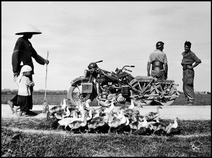 Lính Pháp nhìn một người nông dân lùa đàn vịt qua đường, 25/5/1954.
