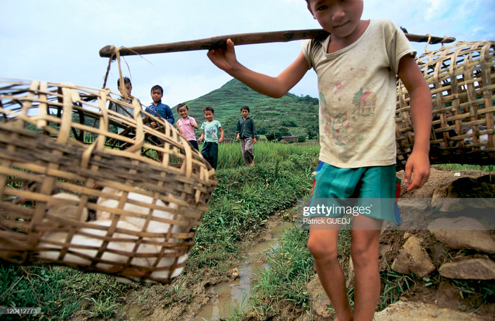Cậu bé Cao Bằng gánh hai rọ vịt ra chợ.