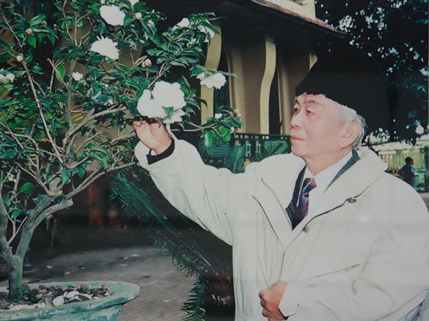 Hoa bạch trà, loại hoa Đại tướng ưa thích (Ảnh do tác giả Trần Tuấn chụp tại sân nhà riêng cũa Đại tướng, 30 Hoàng Diệu, Hà Nội).