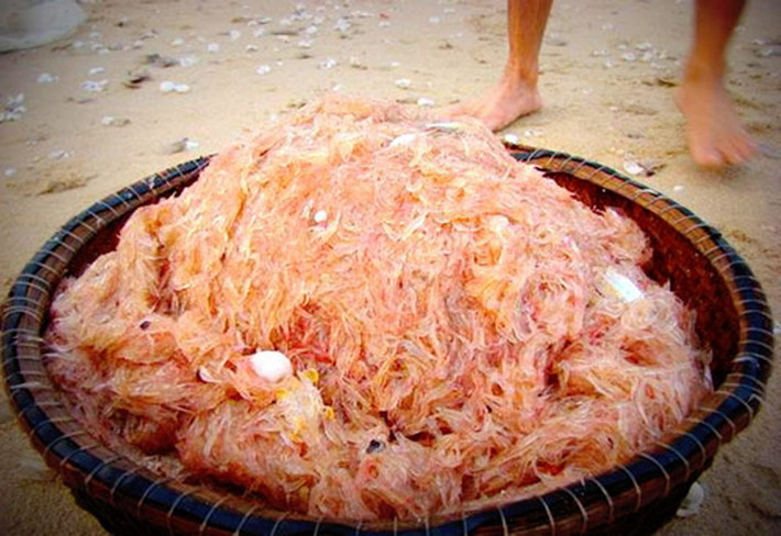 Ruốc biển (người miền Bắc gọi là con moi) là loài tôm nhỏ xíu, có nhiều ở biển Nhật Lệ, ngon nhất vào tháng 6. Ruốc có thể được chế biến theo nhiều cách khác nhau như ruốc lạt, mắm ruốc… đều là những món ăn có hương vị đậm đà, đậm chất Quảng Bình.