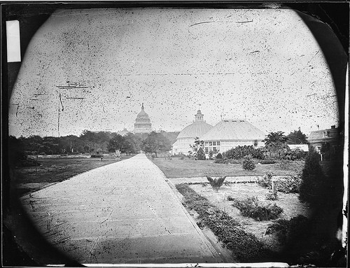 Khung cảnh tại Vườn thực vật của Washington DC, thủ đô nước Mỹ, khoảng năm 1860-1865. Phía xa là mái vòm của điện Capitol.