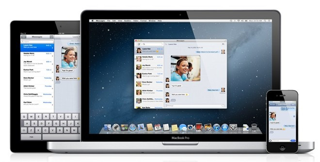 Trong khi các phiên bản Mac OS sau này được đặt tên theo các loài thú lớn thì mã tương ứng của chúng là những loại rượu vang hảo hạng.