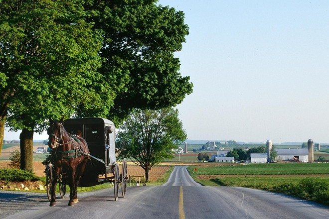 Sống một tuần với cộng đồng người Amish, Mỹ: Người Amish từ chối mọi tiện nghi của thế giới văn minh, sống nhờ chăn nuôi, trồng trọt như từ nhiều thế kỷ trước. Ở hạt Lancaster, bạn sẽ có cơ hội tận hưởng cuộc sống đơn giản, làm việc ngoài đồng và di chuyển bằng xe ngựa. Ảnh: Thisisamericafoundation.