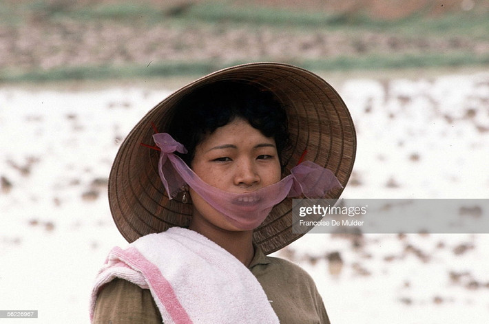 Một người phụ nữ trên đồng ruộng, Hà Nội năm 1989.