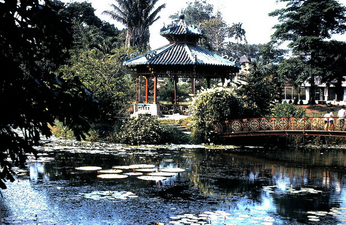Một góc Thảo Cầm Viên Sài Gòn.