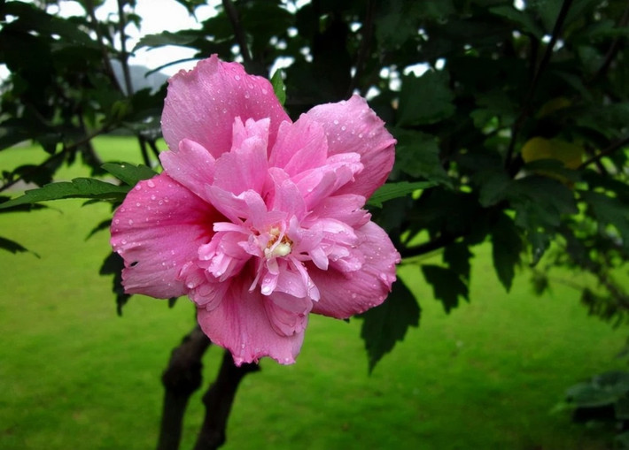 Trên đường đời, họ may mắn gặp được những quý nhân. Những người này đã nhìn nhận ra tài năng của họ, đồng thời tạo điều kiện để họ phát triển sự nghiệp. Đến tuổi 35, cuộc sống của họ có những bước ngoặt lớn. Họ có nhiều cơ hội kiếm tiền, việc làm ăn kinh doanh phát tài, phát lộc không ngừng. *Thông tin trong bài chỉ mang tính chiêm nghiệm, tham khảo