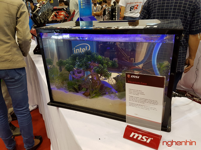 Tiếp một dàn máy tính của MSI dạng bể cá với Intel Pentum G3260, phù hợp với những ai đam mê thuỷ sinh.