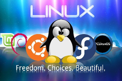 Sự trỗi dậy của Linux. Đỉnh cao của hệ điều hành Unix chính là Linux - một điển hình của sự phát triển mã nguồn mở. Phiên bản Linux đầu tiên được phát triển năm 1991 bởi Linus Torvalds - lúc đó là sinh viên của Đại học Helsinki tại Phần Lan. Khởi điểm của Linux được phát triển cho dòng vi xử lý 386 và hướng tới những người đam mê công nghệ trong cộng đồng mã nguồn mở. Sau mội thời gian dài thuyết phục, Linux đã có được sự hỗ trợ bởi các công ty lớn và thách thức Windows trong nhiều lĩnh vực.