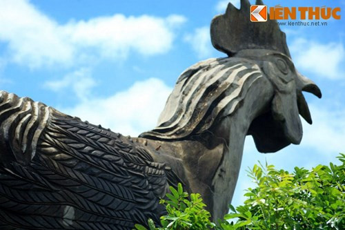 Cô gái ấy đã lao vào rừng sâu kiếm tìm gà chín cựa trong vô vọng để rồi chết gục bên sườn núi.