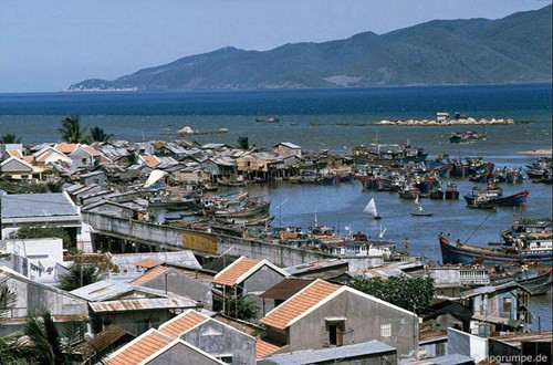 Vùng biển Nha Trang được đánh giá là một trong những nơi nhiều cá nhất Việt Nam.