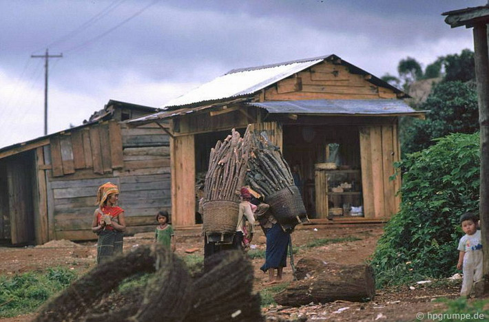 Những người phụ nữ gùi củi về buôn.