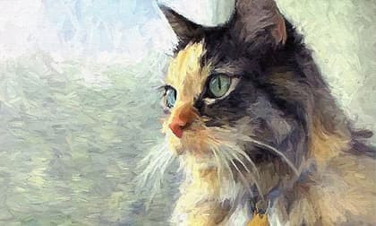 Tuổi Mão: Tháng 4 là thời điểm vàng để tuổi Mão bứt phá trong sự nghiệp và tài lộc. Những người thuộc tuổi Mão dường như được tiếp thêm nguồn năng lượng dồi dào, tràn đầy nhiệt huyết và sự tập trung trong công việc.