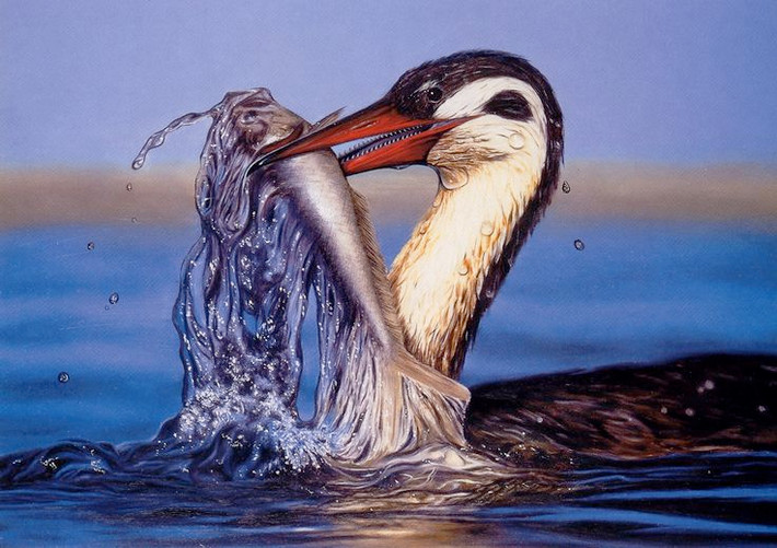 5. Hesperornis có răng thật trong mỏ. Không giống chim hiện đại, Hesperornis có một hàm răng sắc nhọn mọc trong mỏ – giúp nó giữ chặt con mồi trơn trượt như cá khi săn dưới nước. Ảnh: Pinterest.