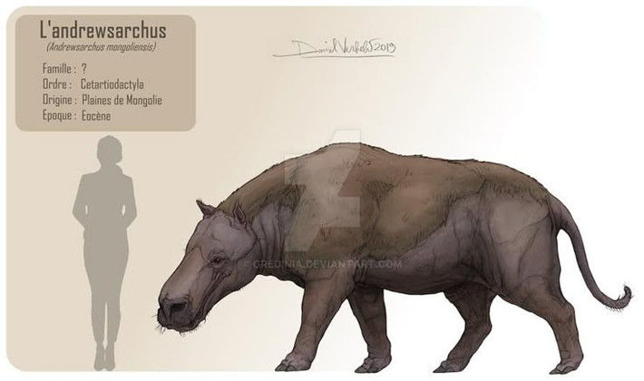 4. Không phải họ hàng của chó hay mèo. Mặc dù có ngoại hình giống sói khổng lồ, Andrewsarchus thực chất có quan hệ gần gũi hơn với cá voi và hà mã ngày nay. Ảnh: Pinterest.