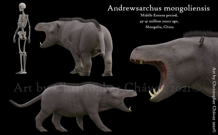 7. Sống cách đây khoảng 45 triệu năm. Andrewsarchus tồn tại trong kỷ Eocene, khoảng 45 triệu năm trước, khi Trái Đất có khí hậu ấm hơn và các lục địa có vị trí khác so với ngày nay. Ảnh: Pinterest.