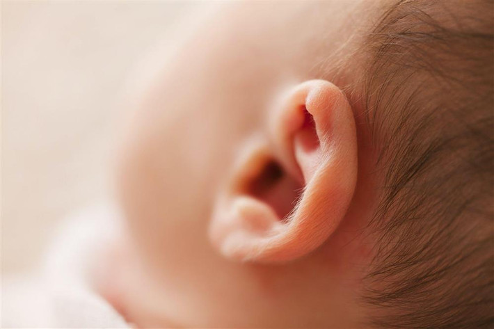 2. Tai mềm mại, không thô cứng. Tướng tai dày là tướng trẻ em có tương lai tốt vì đôi tai đại diện cho phúc đức của một người. Trẻ có đôi tai mềm thường ngoan ngoãn, hiểu chuyện, tư duy độc đáo và hoạt ngôn.