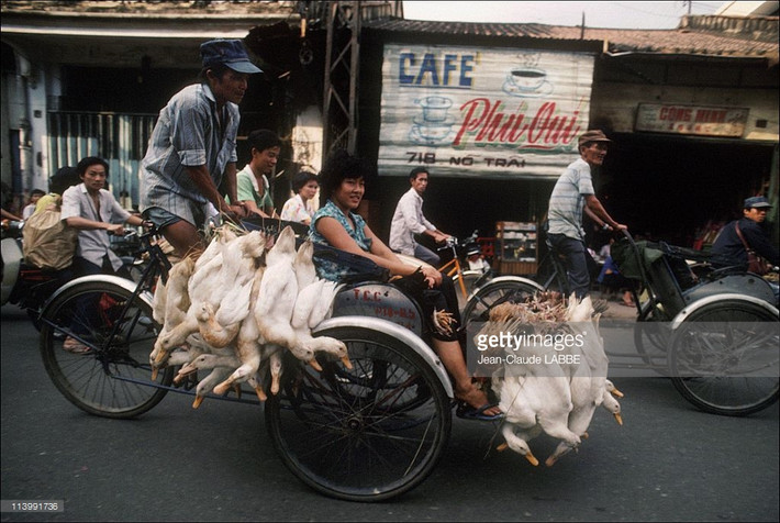 Xích lô chở vịt trên đường Nguyễn Trãi.