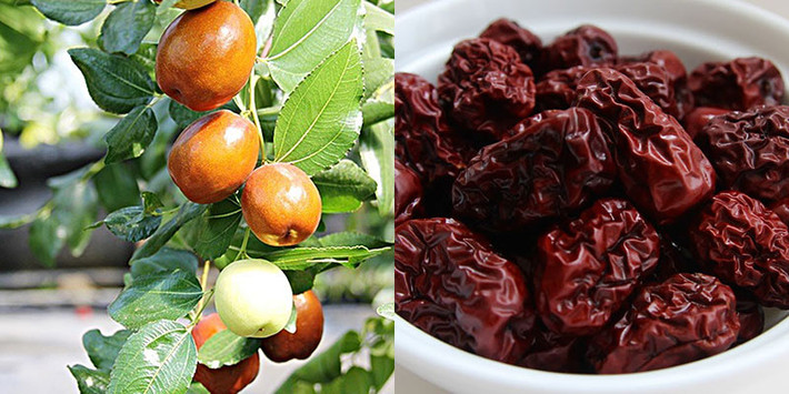 Quả táo tàu có vị ngọt thanh, mang giá trị dinh dưỡng cao. Người xưa coi đây như là một vị thuốc thần. Trong y học, táo tàu giúp cải thiện giấc ngủ, ngăn ngừa ung thư, điều hòa lưu thông máu...