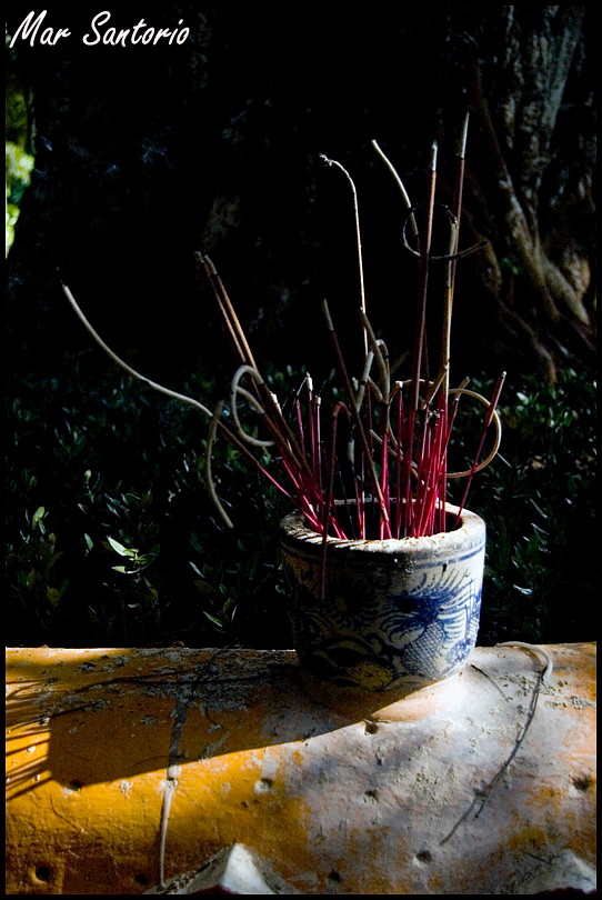 Bát hương dưới cội bồ đề lịch sử của chùa Trần Quốc. Ảnh: Mar Santorio - Flickr.com.
