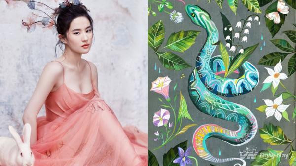 Nàng là một người phụ nữ hiền lành, giỏi giang trong bếp và có thể trở thành một đại nhân sau lưng chồng. Phụ nữ tuổi Tỵ là người hết lòng vì gia đình, chăm sóc chồng con, tự mình gánh vác gánh nặng gia đình, để lại hạnh phúc, nhàn hạ cho chồng con, vất vả cho mình.