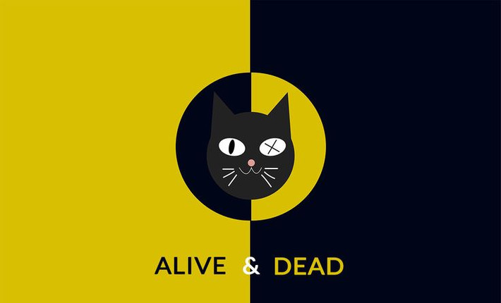 3. Được đề xuất để chỉ trích cách hiểu Copenhagen. Schrödinger không đưa ra thí nghiệm này để chỉ trích cách hiểu Copenhagen về cơ học lượng tử, vốn cho rằng hệ lượng tử chỉ xác định khi có sự quan sát. Ảnh: Pinterest.