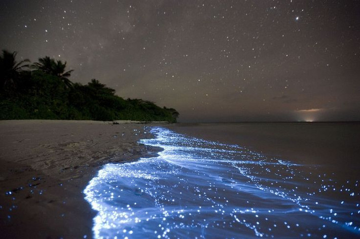 2. Sóng biển phát sáng. Ở một số vùng biển như Maldives hay California, hiện tượng sinh vật phù du phát quang sinh học khiến sóng biển phát sáng màu xanh kỳ ảo vào ban đêm, tạo nên một cảnh tượng huyền diệu. Ảnh: Pinterest.