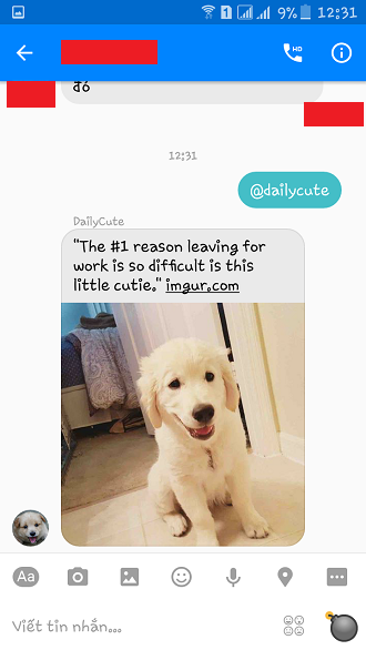 2. Gửi ảnh thú cưng Nhập đoạn mã @dailycute, Facebook sẽ gửi ngẫu nhiên bức ảnh của một con thú cưng xinh xắn nào đó để "thay lời muốn nói" của bạn đến người ấy.