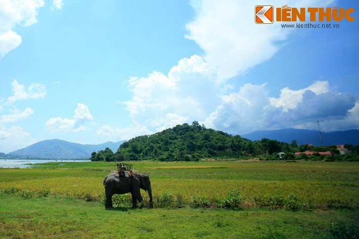 3. Biện điện Bảo Đại bên hồ Lắk. Ở thị trấn Liên Sơn (huyện Lắk, tỉnh Đắk Lắk) có một quả đồi đặc biệt nằm soi bóng xuống mặt hồ Lắk huyền thoại. Ngọn đồi này được người dân trong vùng gọi là đồi Bảo Đại.