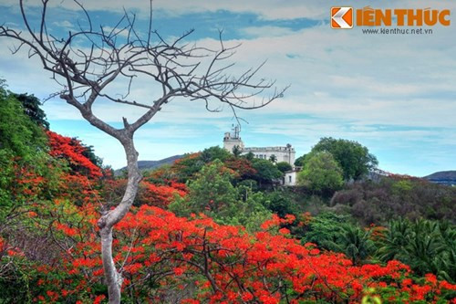 7. Lầu Bảo Đại ở Nha Trang. Lầu Bảo Đại, còn gọi là biệt điện Cầu Đá là một cụm năm toà biệt thự cổ mang dấu ấn của cựu hoàng Bảo Đại, toạ lạc trên đỉnh núi Chụt (núi Cảnh Long), thành phố Nha Trang.