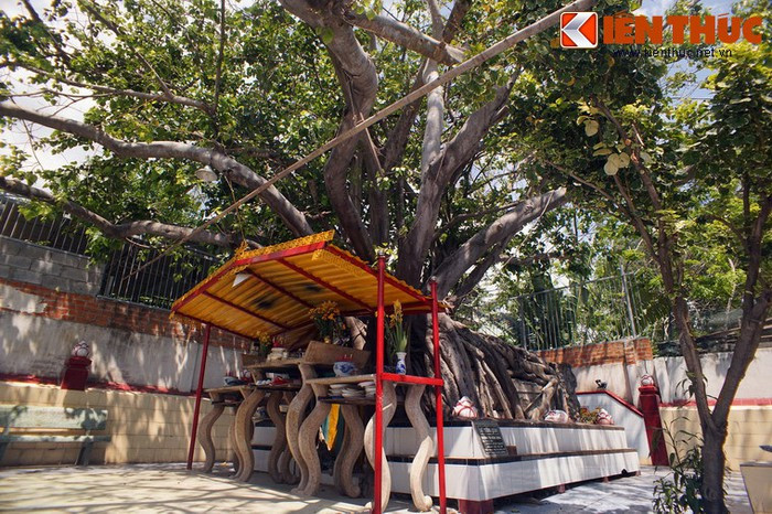 Đây là một ngôi mộ cổ có quy mô khá bề thế. Trong hàng thế kỷ qua, đã có nhiều tranh cãi xung quanh danh tính của người nằm dưới mộ. Có ý kiến cho rằng chủ nhân ngôi mộ là một ông tướng người Chăm, nhưng cũng cho người khẳng định đó là một ông tướng triều Tây Sơn...