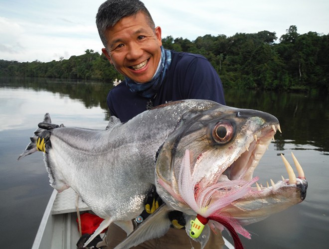 Cá ma cà rồng Payara, hay còn gọi là "Cá mè nanh sói" (tên khoa học Hydrolycus Scomberoides). Cá ma cà rồng là một loài cá săn mồi nước ngọt được tìm thấy nhiều ở Venezuela và trong lưu vực sông Amazon. Với sự hung hăng và bộ răng kỳ dị, cá Payara được mệnh danh là loài cá nước ngọt nguy hiểm nhất thế giới