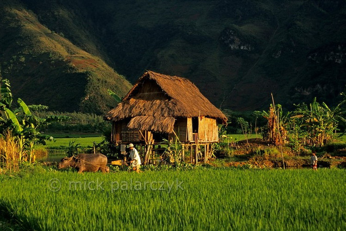 Một ngôi nhà sàn của đồng bào Thái Trắng tại bản Lác.