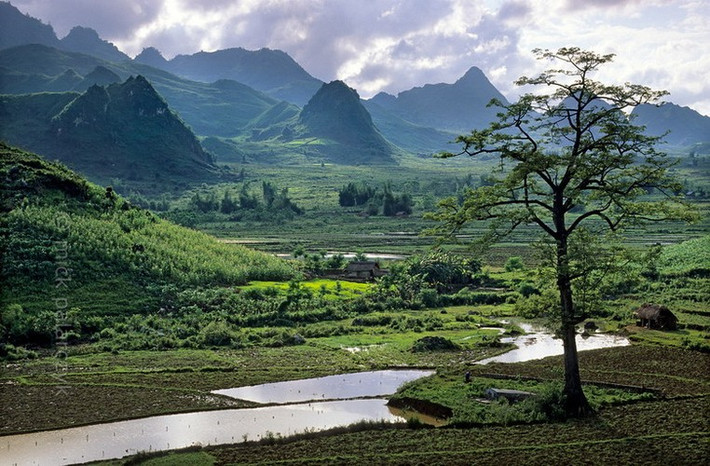 Khung cảnh thơ mộng ở Tam Đường, Lai Châu, vùng Tây Bắc Việt Nam đầu thập niên 2010. Ảnh: Mick Palarczik.