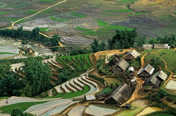 Bản làng ở thung lũng Mường Hoa, Sapa.