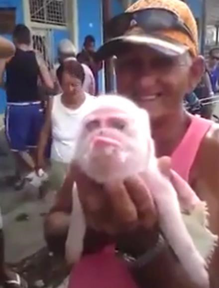Một số người khác thì cho rằng, vấn đề ô nhiễm môi trường đã gây ra khuôn mặt đáng sợ trên.